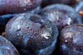 Pile of fresh plums Royalty Free Stock Photo