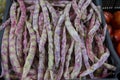 Pile of fresh purple Cranberry bean for sale Royalty Free Stock Photo