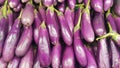 Pile of fresh purple eggplants Royalty Free Stock Photo