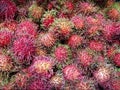 Pile of Fresh Rambutan in the Market.