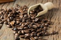 Pile of Fresh Raw Coffee Beans on Wooden Desk Table Royalty Free Stock Photo