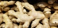 A pile of fresh raw, loose bulk ginger root