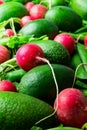 Pile of fresh raw ripe red radishes peas avocados. Organic produce balanced diet vegan healthy lifestyle concept. Vibrant colors Royalty Free Stock Photo