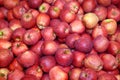 Pile of the fresh red apples in a market Royalty Free Stock Photo