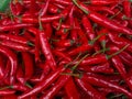 pile of fresh red chili vegetables