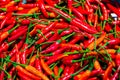 Pile of fresh red chilli peppers texture. Raw food background. Close up.