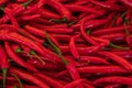 A pile of fresh red chillis with their green storks, for sale at a english farmers market Royalty Free Stock Photo