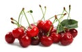 Pile of fresh ripe cherries with water drops on white background Royalty Free Stock Photo