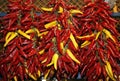 Fresh ripe chili peppers for sale