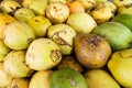 Fresh ripe coconuts