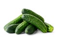 Pile of fresh ripe cucumbers close-up on a white background. Isolated