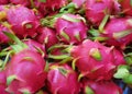 Pile of Ripe Dragon Fruits (Pitaya) For Sale on Local Market Royalty Free Stock Photo