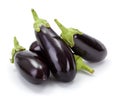 Pile of fresh ripe eggplants (Solanum melongena) Royalty Free Stock Photo