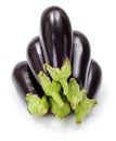 Pile of fresh ripe eggplants (Solanum melongena)