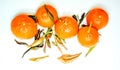 Pile of fresh ripe mandarin oranges with small twigs and green leaves on a light background Royalty Free Stock Photo