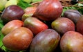 Pile of Fresh Ripe Mangoes in the Market