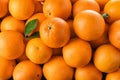 Pile of fresh ripe oranges with leaves as background Royalty Free Stock Photo