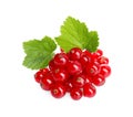 Pile of fresh ripe redcurrants and green leaves isolated on white Royalty Free Stock Photo