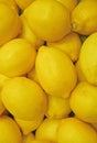 Pile of fresh ripe vibrant yellow lemons for backdrop