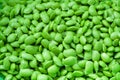 Pile of Fresh Soybeans Background Royalty Free Stock Photo