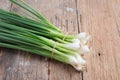 Pile of fresh spring onion on wood table Royalty Free Stock Photo