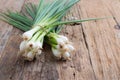 Pile of fresh spring onion on wood table Royalty Free Stock Photo