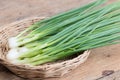 Pile of fresh spring onion on wood table Royalty Free Stock Photo