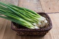 Pile of fresh spring onion on wood table Royalty Free Stock Photo