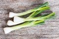 Pile of fresh spring onion on wood table Royalty Free Stock Photo