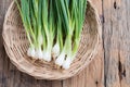 Pile of fresh spring onion on wood table Royalty Free Stock Photo