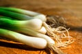 Pile of fresh spring onion on wooden table Royalty Free Stock Photo