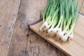 Pile of fresh spring onion on wood table Royalty Free Stock Photo