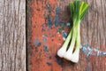 Pile of fresh spring onion on wood table Royalty Free Stock Photo