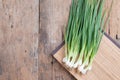 Pile of fresh spring onion on wood table Royalty Free Stock Photo