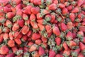 Pile of fresh strawberries of fruit background. Royalty Free Stock Photo