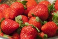 A pile of fresh trawberry Royalty Free Stock Photo