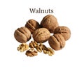A Pile of Fresh Walnuts on a Black Background Royalty Free Stock Photo