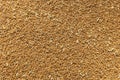 Pile of fresh Wheat grain background texture. image of wheat grain. Wheat wallpaper, pattern concept background. Asian Royalty Free Stock Photo