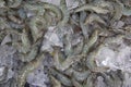 Pile of fresh White Leg sea shrimp sold in the supermarket Royalty Free Stock Photo