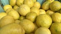 Pile of fresh yellow citrus fruits in basket in basket