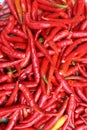 Pile of fresh red chilli peppers texture