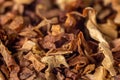 A pile of freshly cut tobacco texture in the background. Closeup Royalty Free Stock Photo