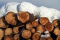 Pile of freshly cut wood logs the top covered with snow Royalty Free Stock Photo