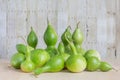 Pile of freshly harvested bottle gourds Royalty Free Stock Photo