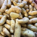 Fingerling potatoes