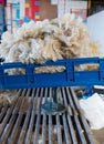 Pile of freshly shorn sheepskin on the scales Royalty Free Stock Photo