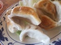 Pile of fried Chinese pork dumpings on plate