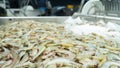 Pile of frozen farmed shrimp in an industrial factory