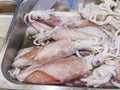 Pile of frozen squids for sale at seafood market