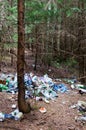 A pile of garbage in the autumn forest. Toxic plastic is everywhere in nature. A pile of garbage in the forest among fallen pine